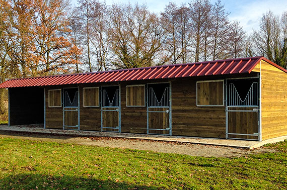 Dresseuse trotteur chevaux Le Mans, Sarthe (72)