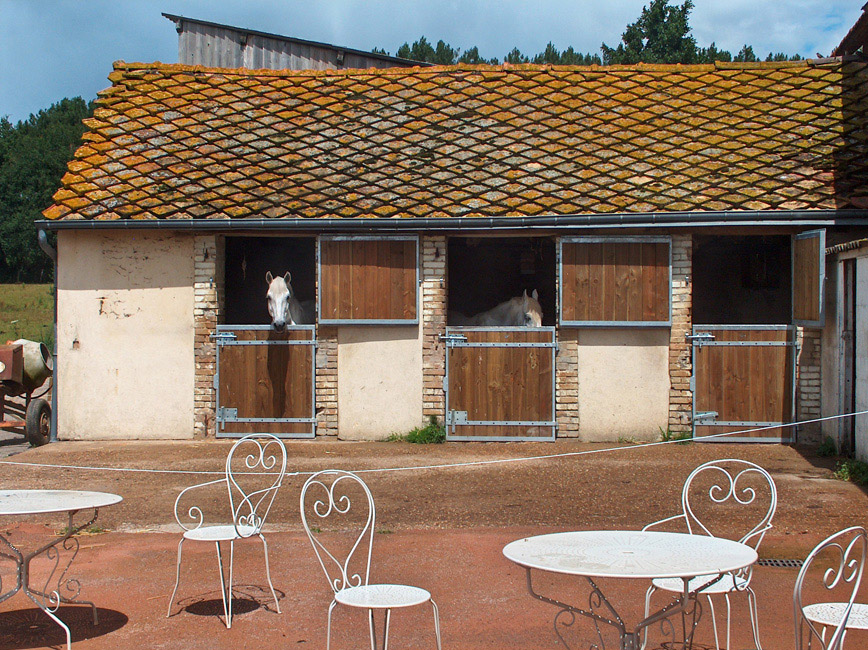 Box chevaux, sulky d'occasion au Mans 72