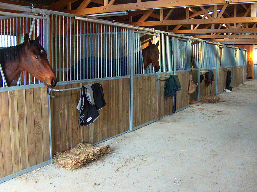dresseuse trotteur chevaux Le Mans, Sarthe (72)