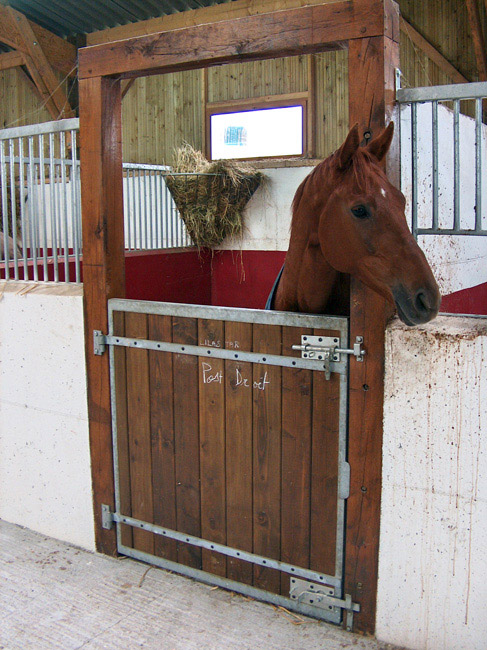 dresseuse trotteur chevaux Le Mans, Sarthe (72)