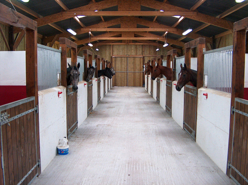 dresseuse trotteur chevaux Le Mans, Sarthe (72)