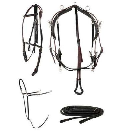 Harnais QH complet classic