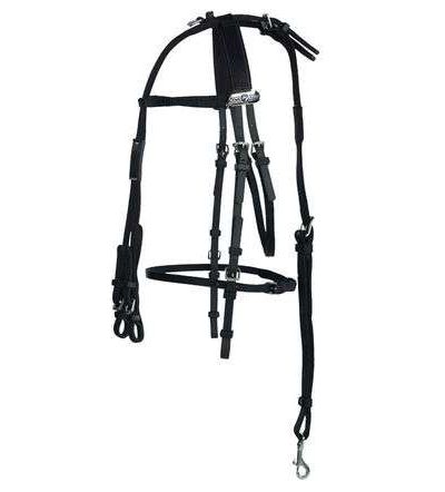 Bride complète en Beta