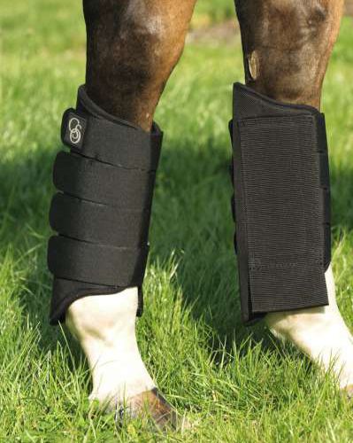 Guêtres de tendons CSO postérieurs