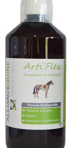 Arti'Flex ALLIANCE EQUINE 1L