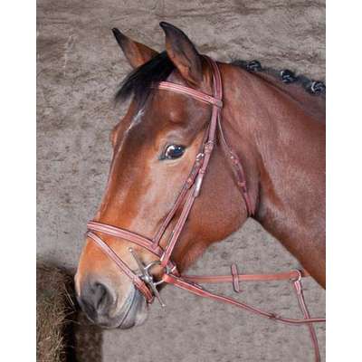 Filet Michl Robert Luxe