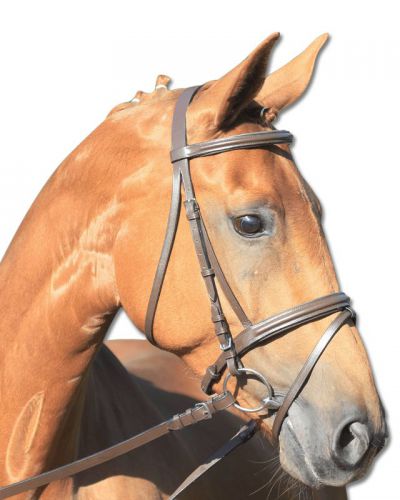 bridon-cuir-muserolle-combinee-lifestyle-waldhausen.jpg