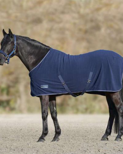 Chemise polaire economic