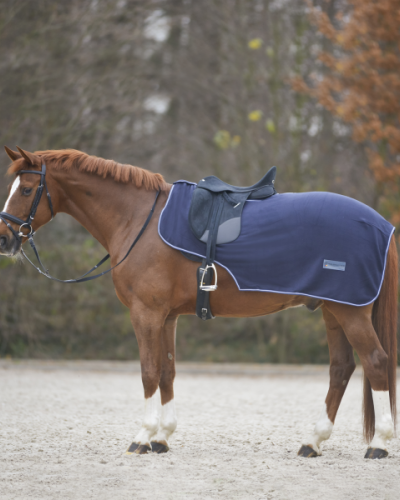 Couvre reins economic