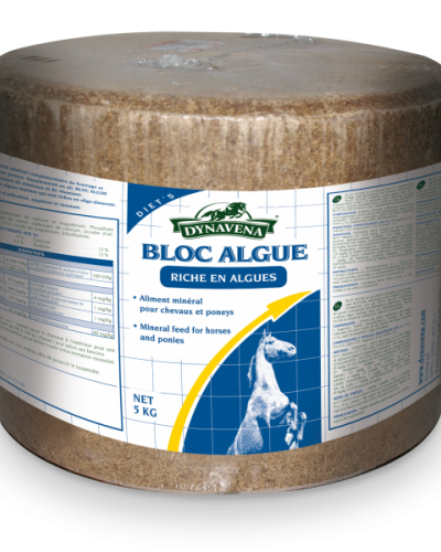 dynavena_bloc_algue.png