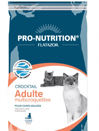 Crocktail Adulte Multicroquettes 3KG